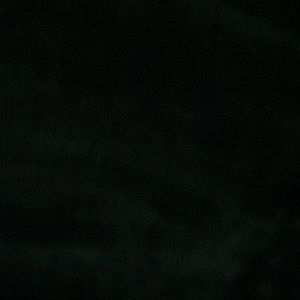 Meet your Posher, Allen